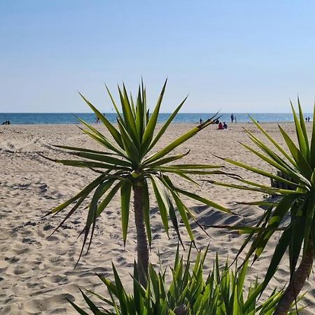 Joli T2 Avec Jardin Plage Richelieu - 6 Personnes Agde Εξωτερικό φωτογραφία